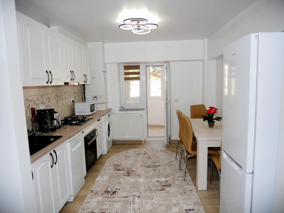 Apartament David Câmpulung Moldovenesc Exteriér fotografie