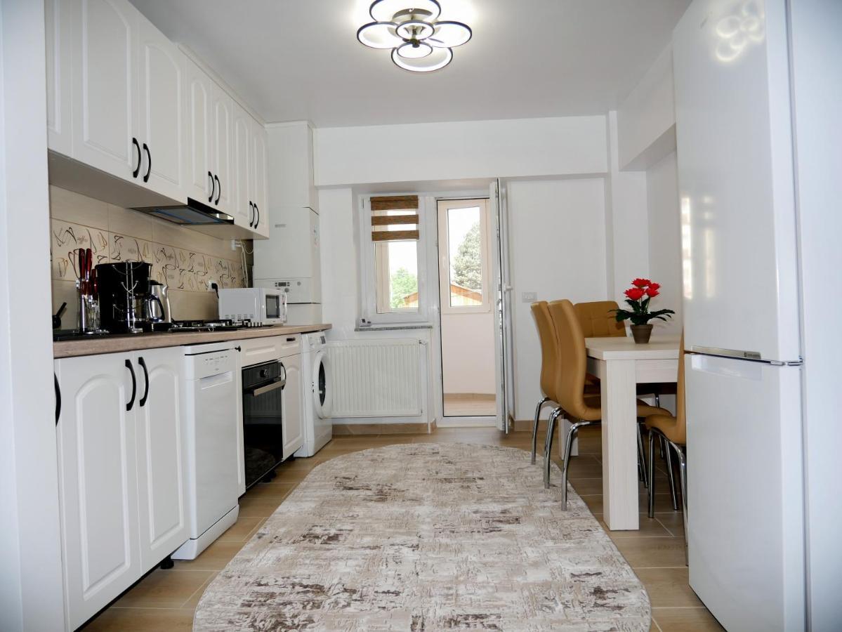 Apartament David Câmpulung Moldovenesc Exteriér fotografie